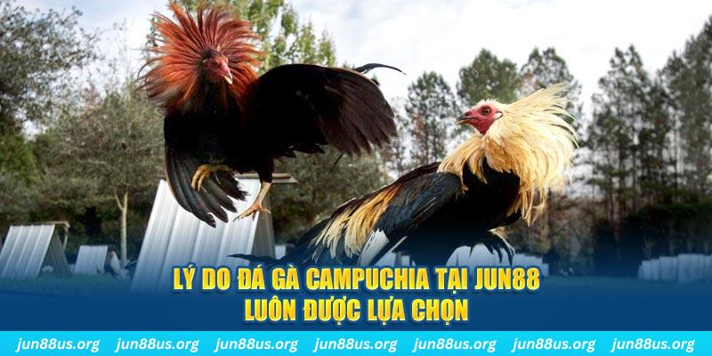 8kbet cc nổ hủ máy bay