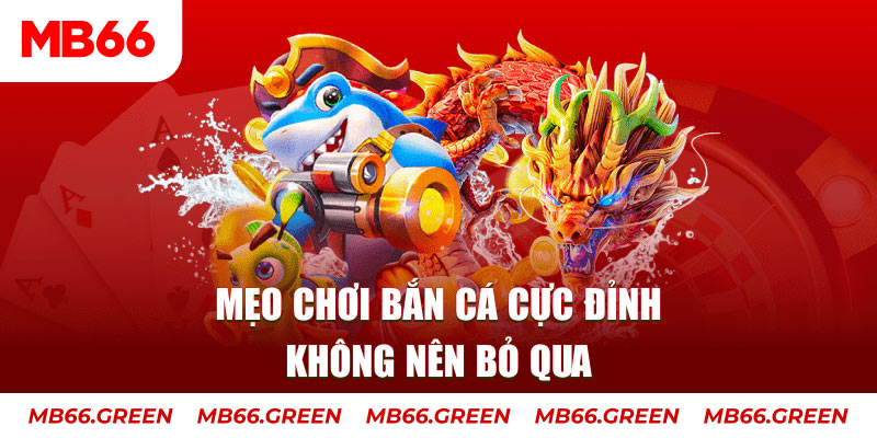 8kbet cc casino ở đâu