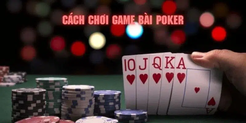 8kbet cc Anda bạn quán ba hal