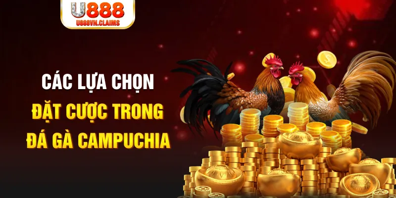 8kbet cc SW Xổ Số