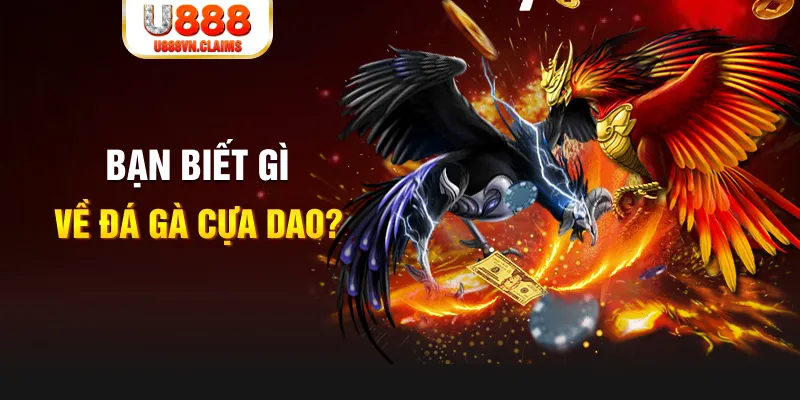 8kbet cc xổ số kiến thiết