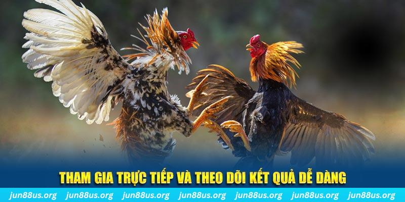 8kbet cc đá gà trực tiếp bình luận viên