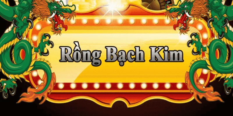 8kbet cc đăng nhập roulette 2025