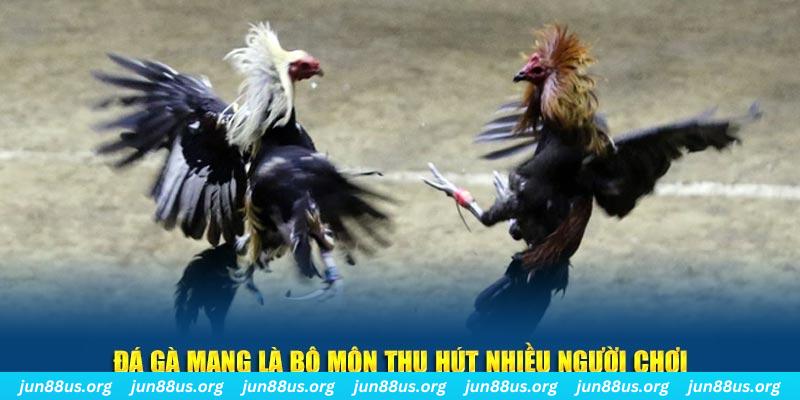 8kbet cc xổ số cà mau