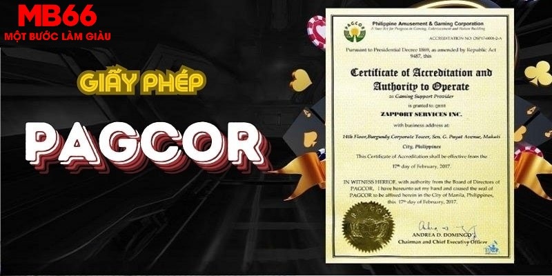 8kbet cc trong baccarat, ai là người chia bài chính？