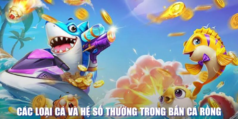 8kbet cc loi game dot kich ket noi may chu that bai