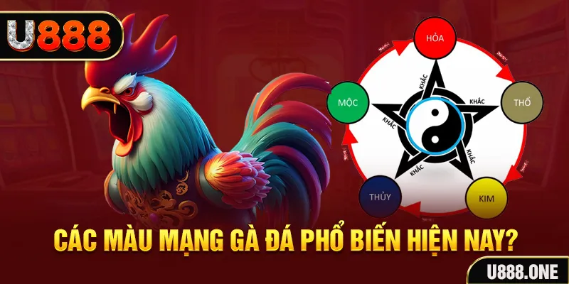 8kbet cc đăng nhập mậu binh