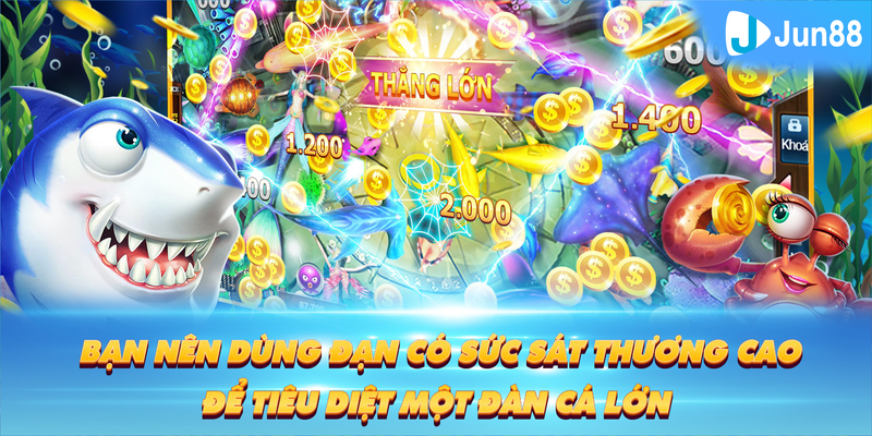 8kbet cc Tung Đồng Xu