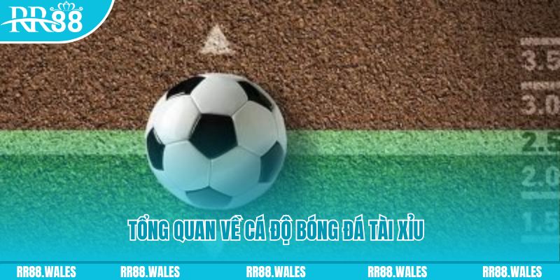 8kbet cc đăng nhập lô đề online