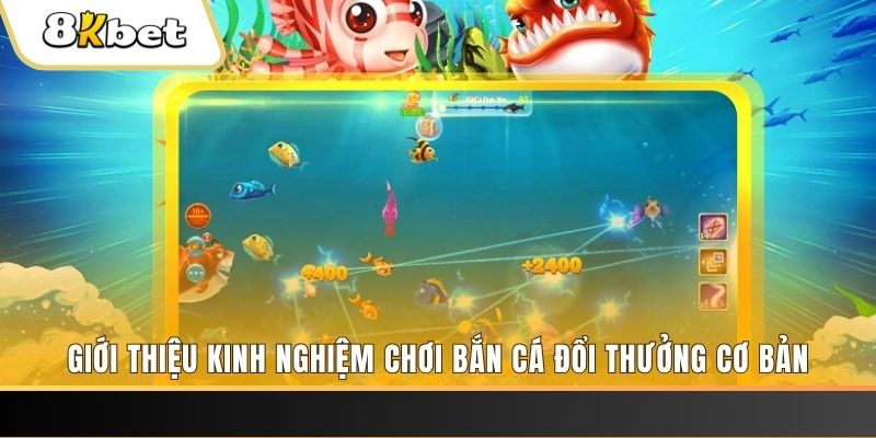 8kbet cc xổ số miền bắc thứ năm hàng tuần