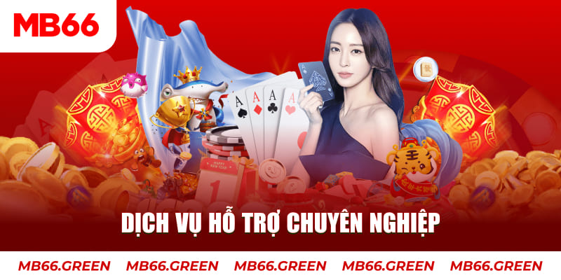 8kbet cc AOG Đá Gà