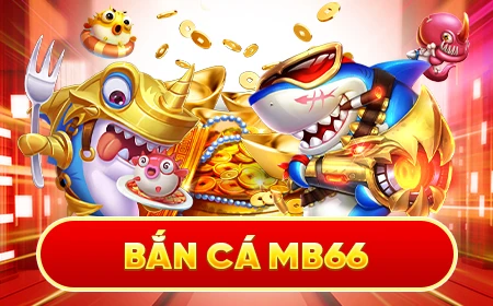 8kbet cc đá gà trực tiếp 67