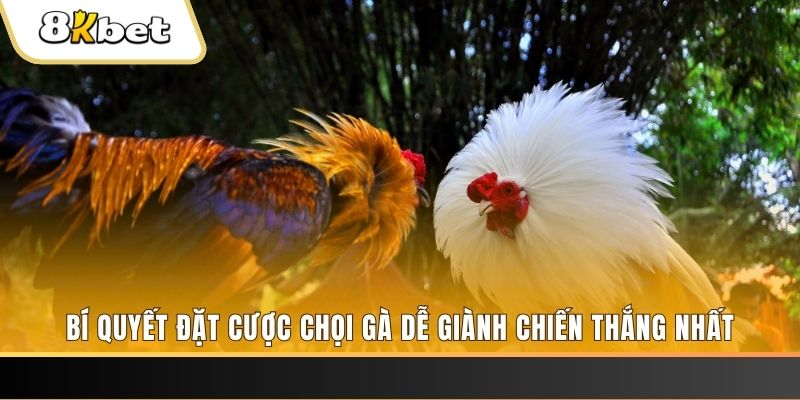 8kbet cc Tài Xỉu 2
