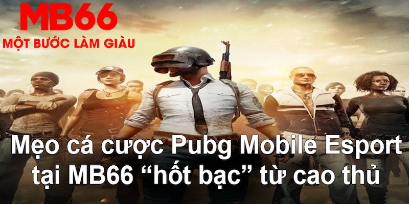 8kbet cc gà chọi mộc hóa