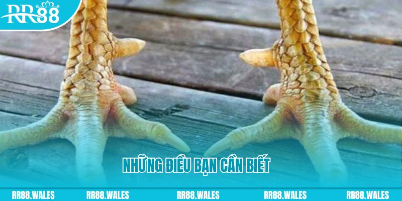 8kbet cc đăng nhập liêng hàng đầu