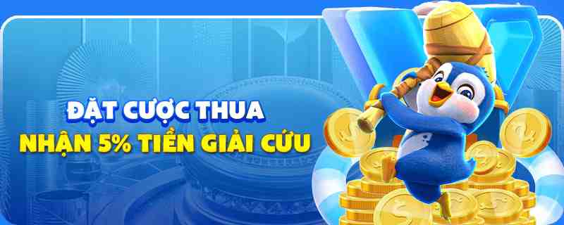 8kbet cc gà chọi cu cần