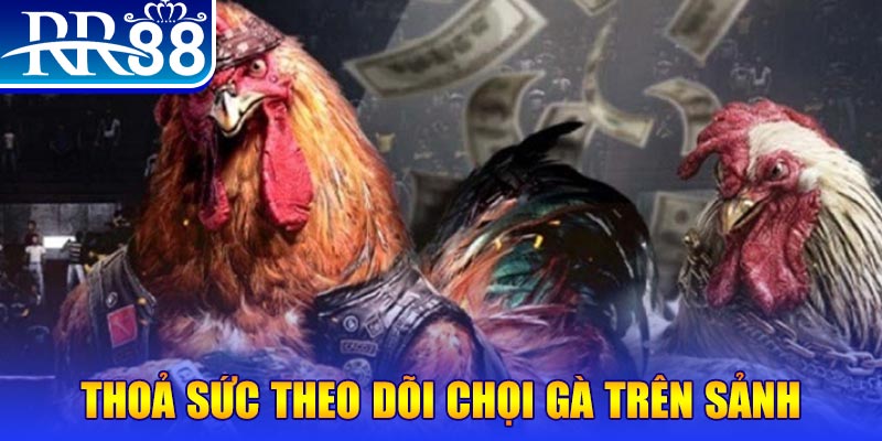 8kbet cc đá gà 88.com