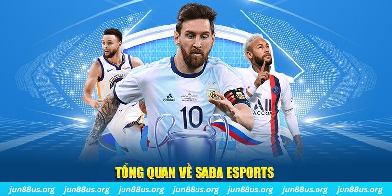 8kbet cc gà chọi c1 tv trực tiếp hôm nay