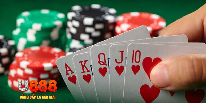 8kbet cc trực tiếp đá gà
